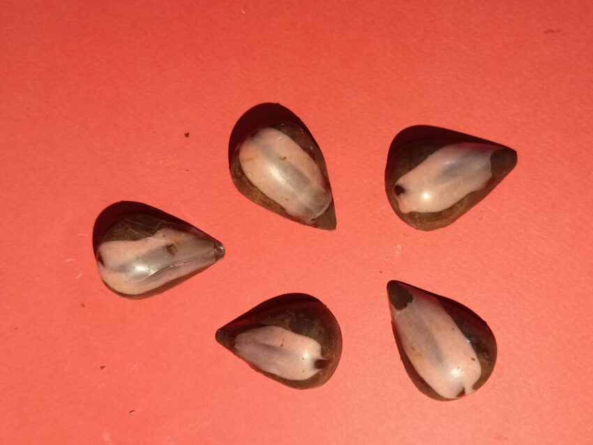 Bombones Rubí (Chocolates rellenos de frambuesa)