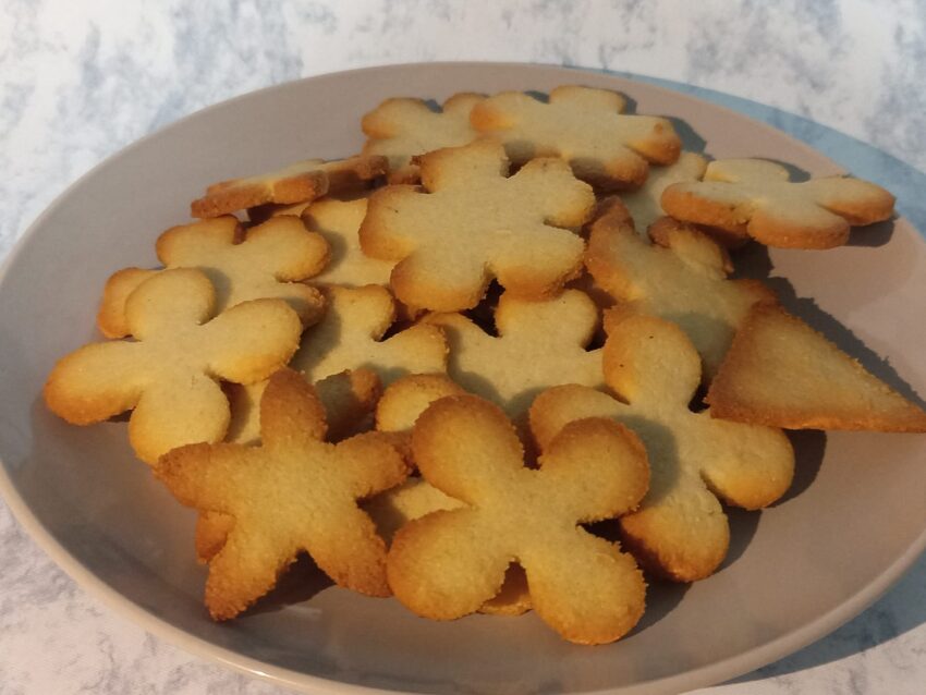 Galletas Sugar Free Gluten Free - Delicioso Sabor Sin Limitaciones