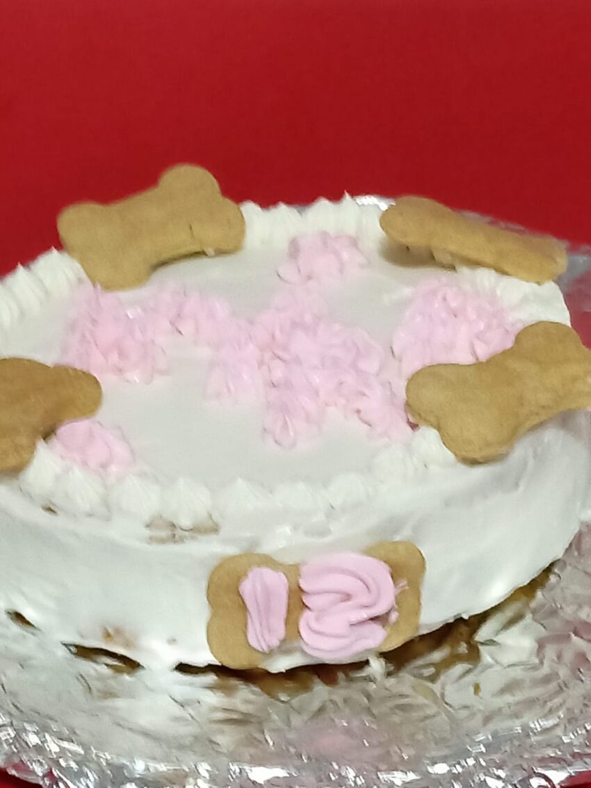 Pastel para Lomito - La Delicia de tu Compañero Peludo - Imagen 4