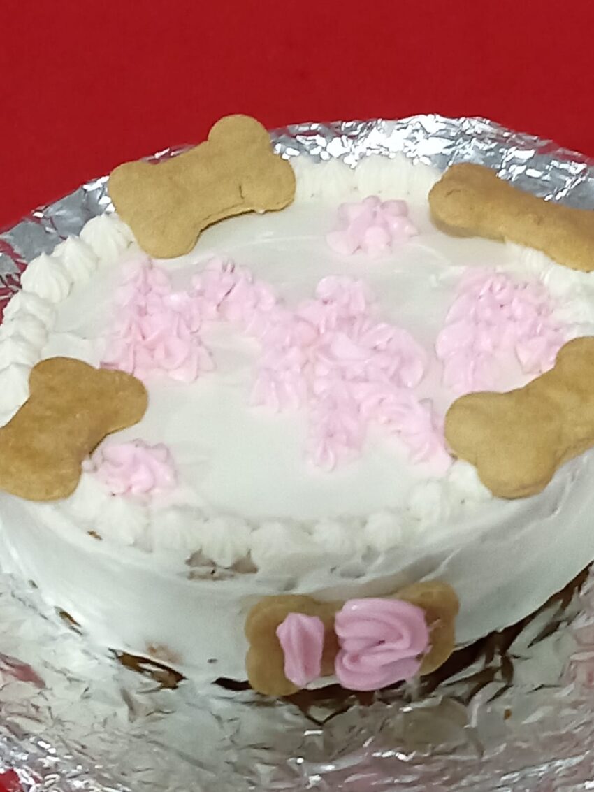 Pastel para Lomito - La Delicia de tu Compañero Peludo - Imagen 3