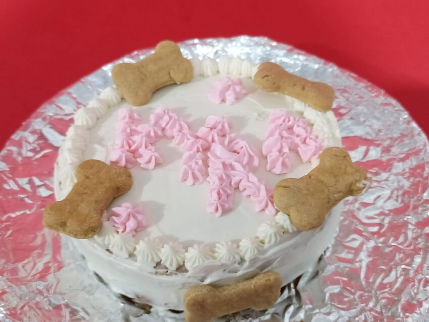Pastel para Lomito - La Delicia de tu Compañero Peludo - Imagen 2
