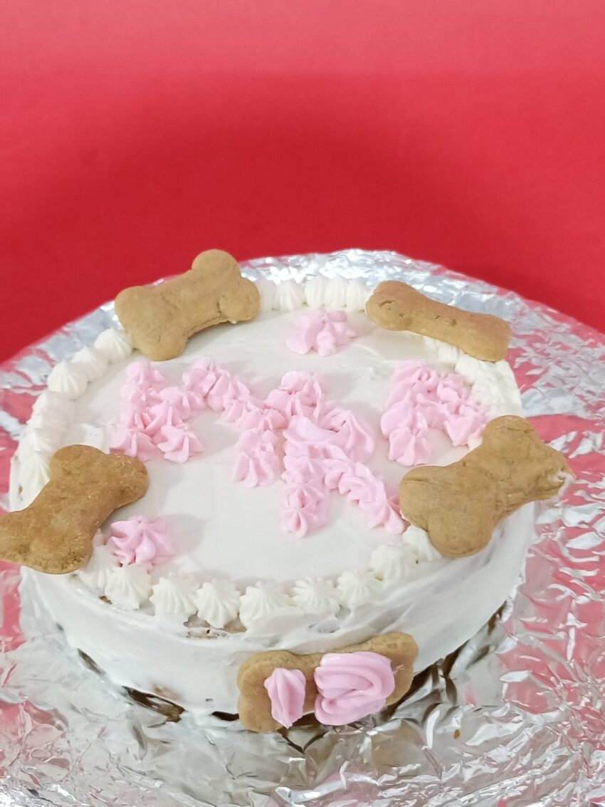 Pastel para Lomito - La Delicia de tu Compañero Peludo - Imagen 5