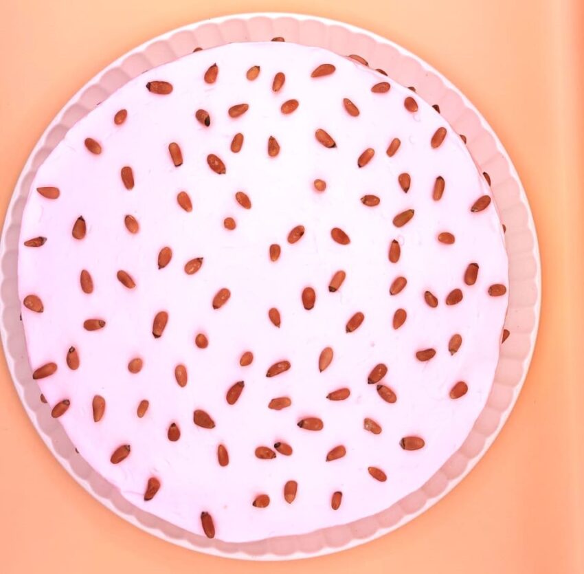 Pastel Pink Sugar free